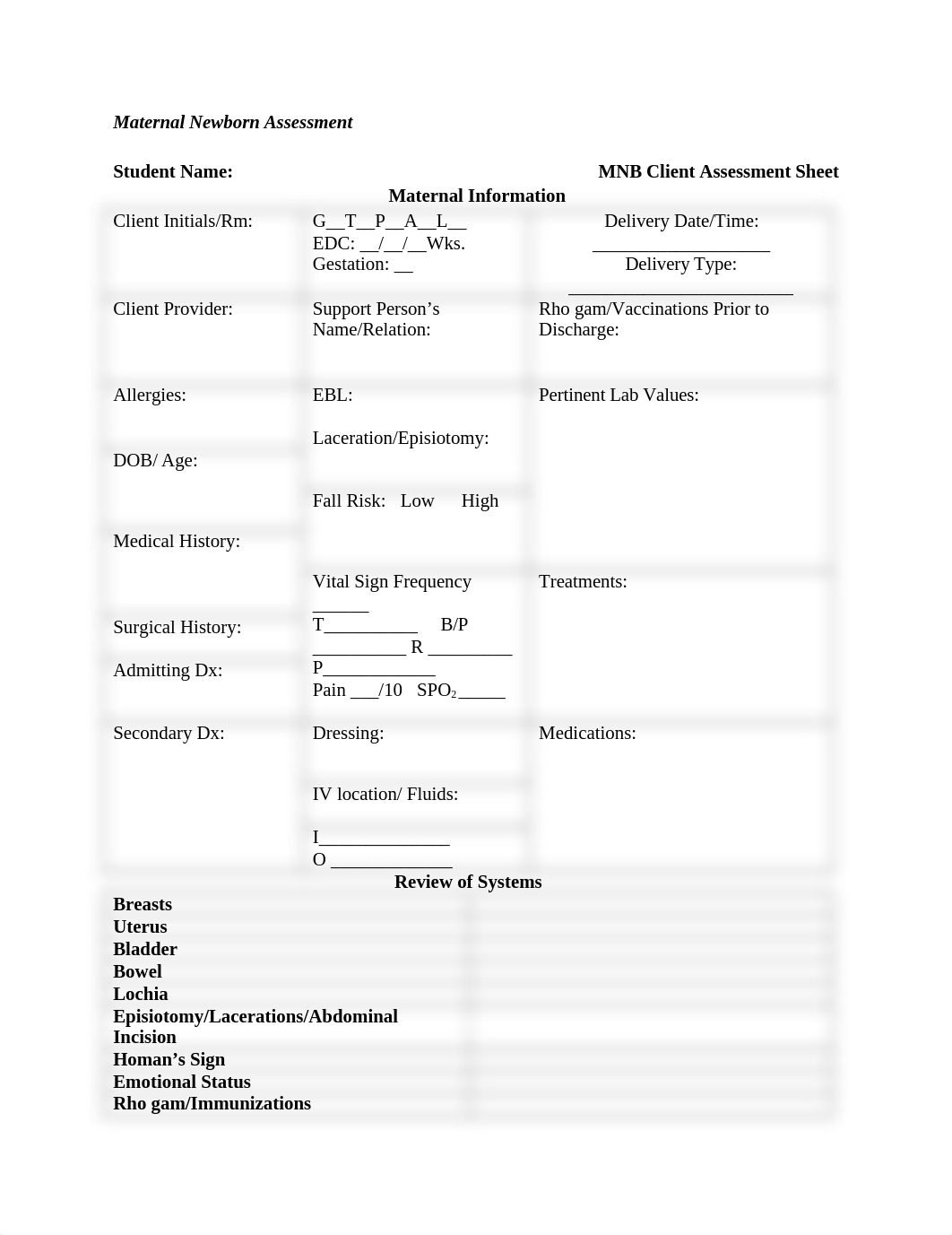 Maternal Newborn Assessment template (2).docx_ds748px7zab_page1