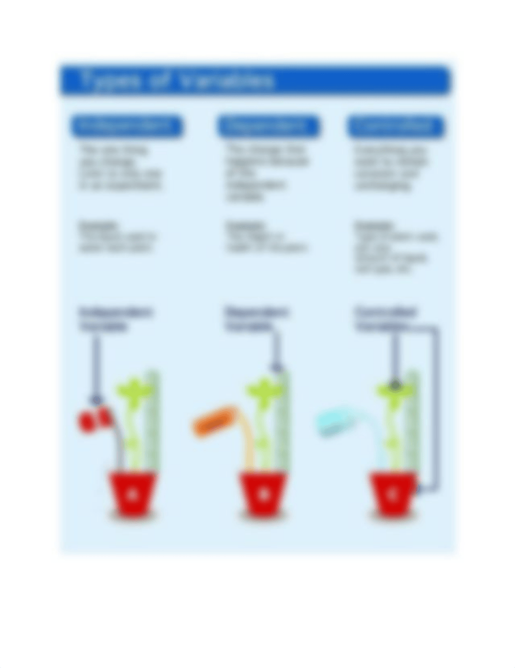 Lab 1 Biology.pdf_ds76yi6j23y_page2