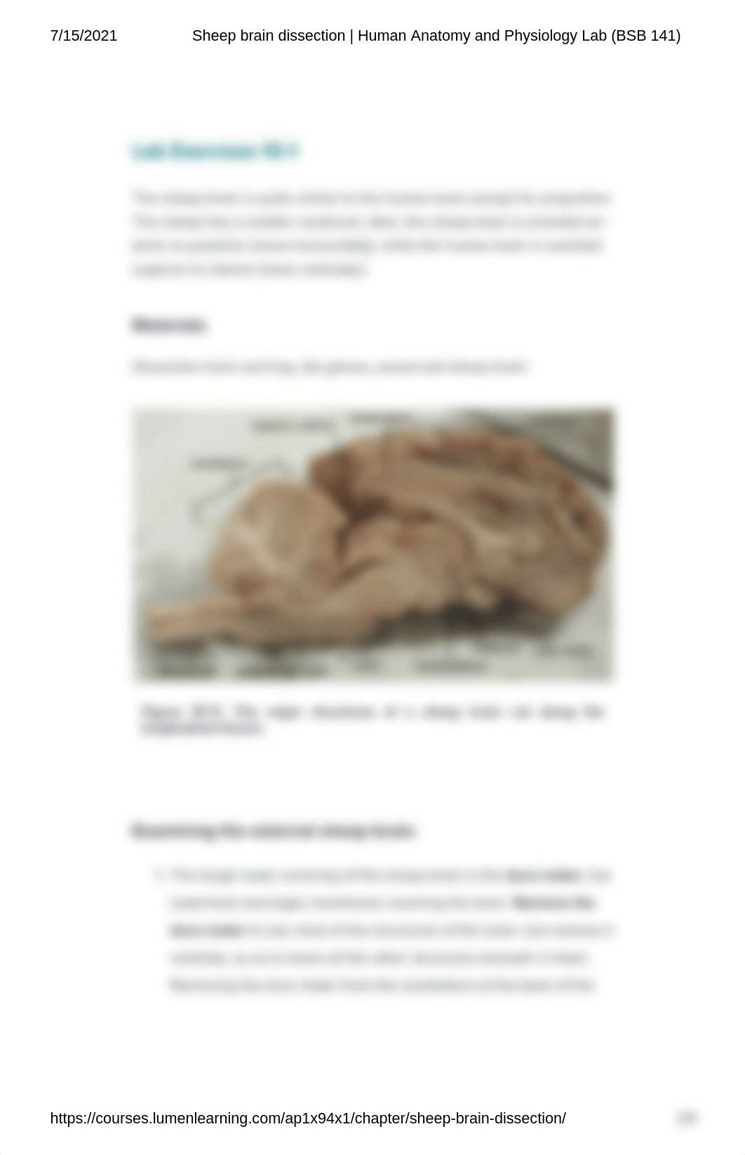 Sheep brain dissection _ Human Anatomy and Physiology Lab (BSB 141).pdf_ds7abaro7at_page1