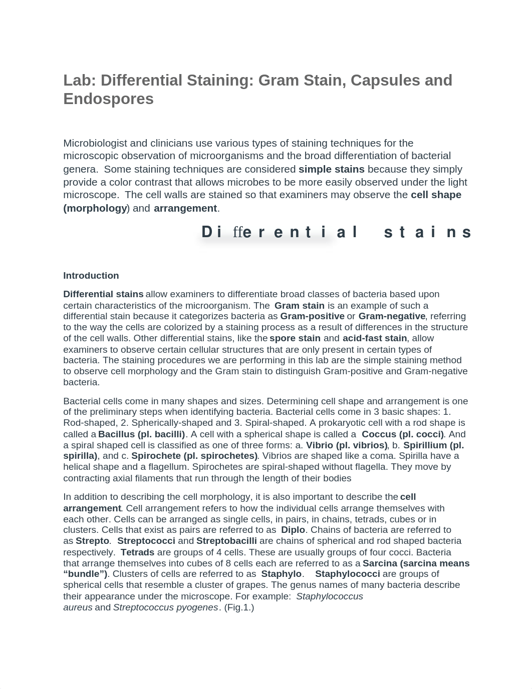 Lab Differential Staining Gram Stain, Capsules and Endospores.docx_ds7eeig4z55_page1