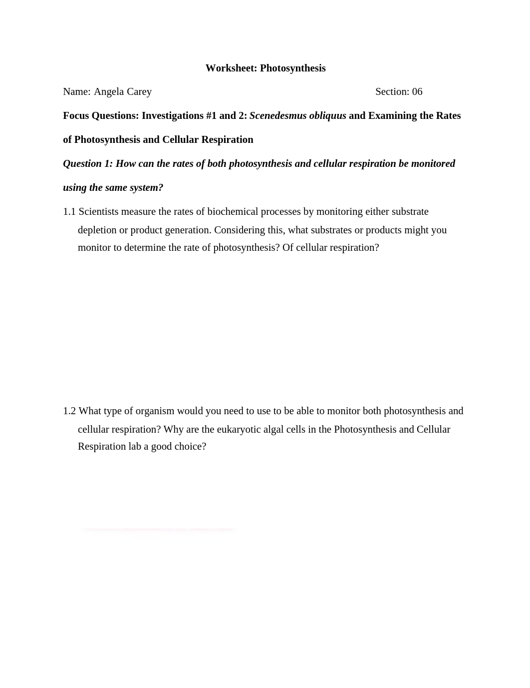 Photosynthesis Worksheet (1).docx_ds7x14xkp9u_page1