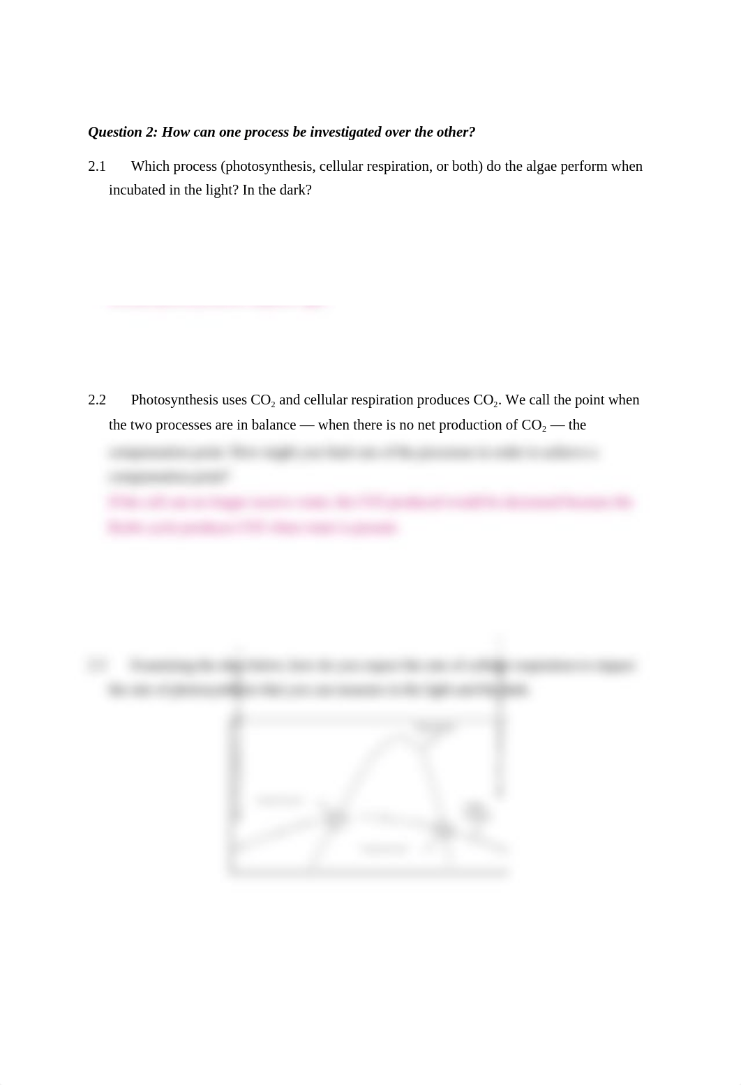 Photosynthesis Worksheet (1).docx_ds7x14xkp9u_page2