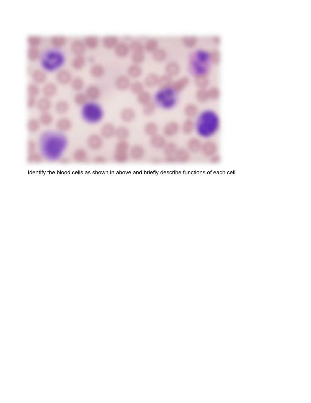 BIOL 103 Lab 7 Immunology.docx_ds7x736wllj_page2