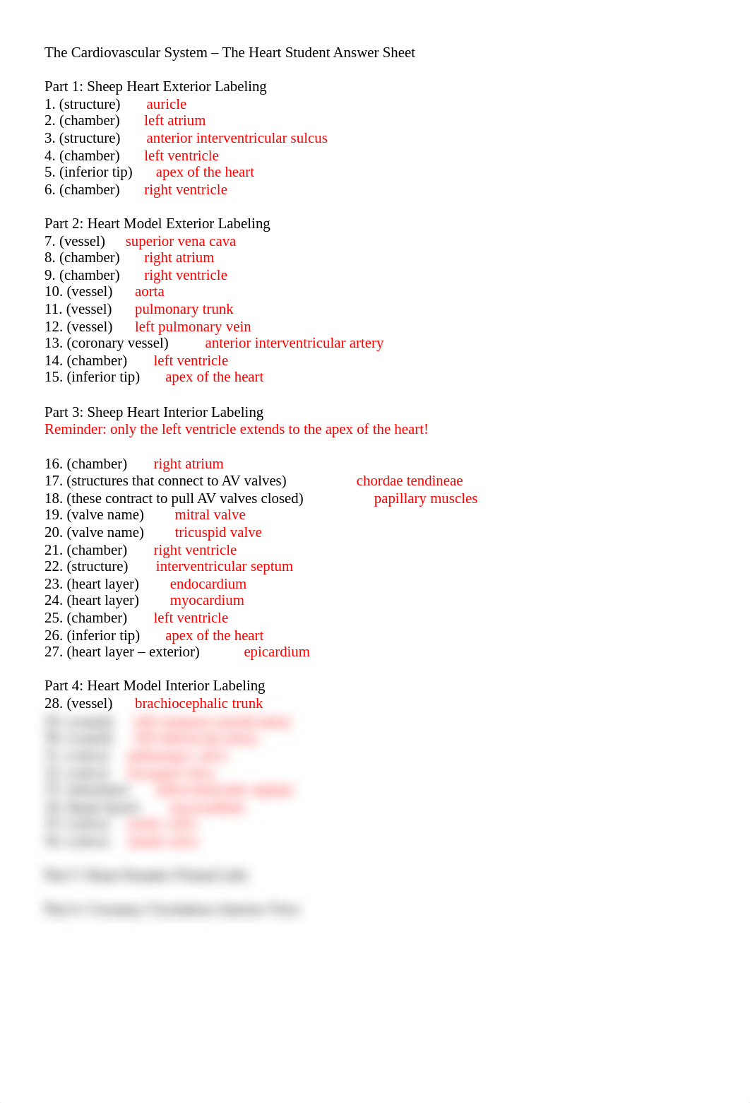 Heart Lab Anatomy Student Answer Sheet.docx_ds82cag1gpu_page1