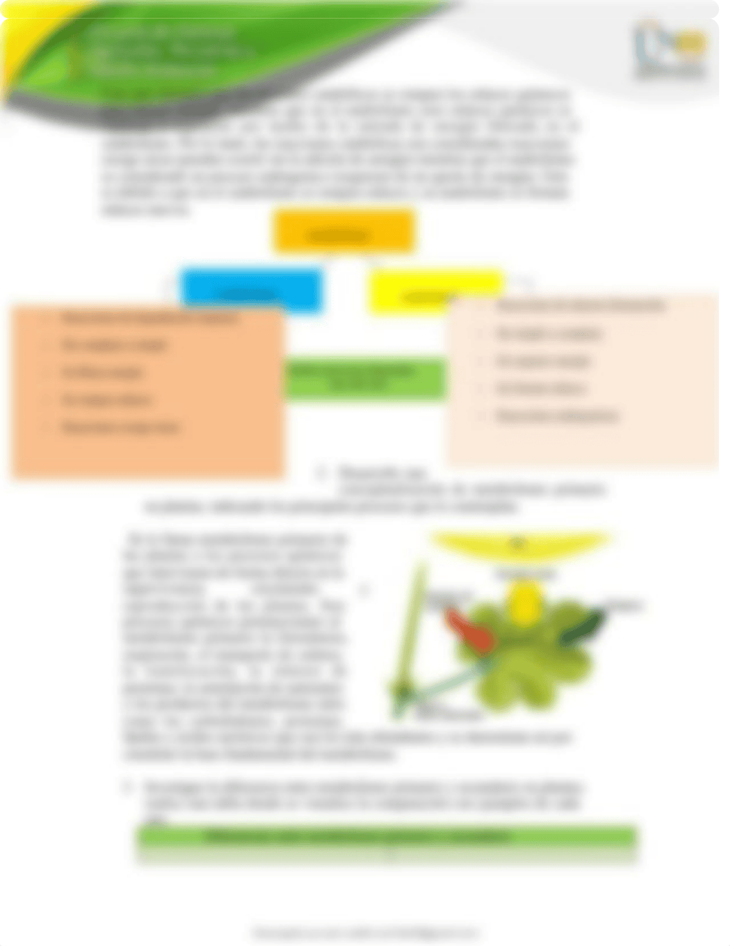 cuestionario-fase-3-metabolismo-primario-bioquimica-vegetal.pdf_ds836shamuj_page5