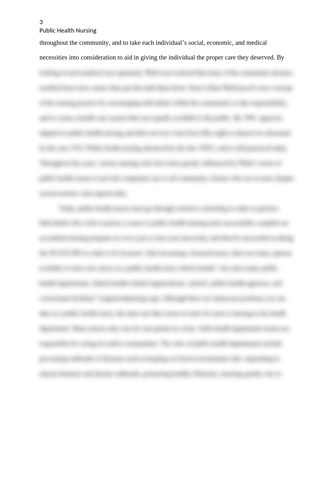 Public Health Nursing Paper-Nursing II-1.docx_ds8io5m3m57_page3