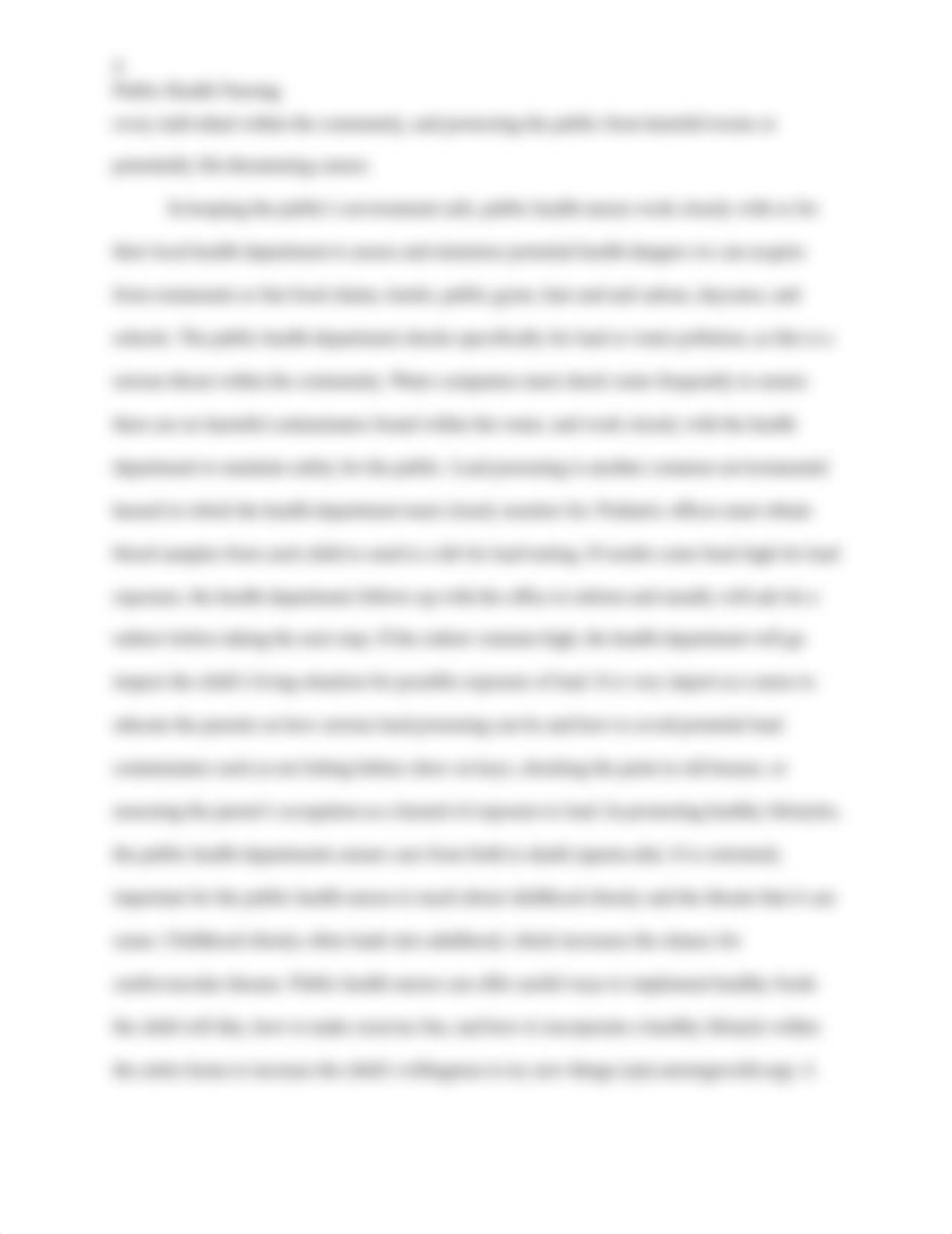 Public Health Nursing Paper-Nursing II-1.docx_ds8io5m3m57_page4