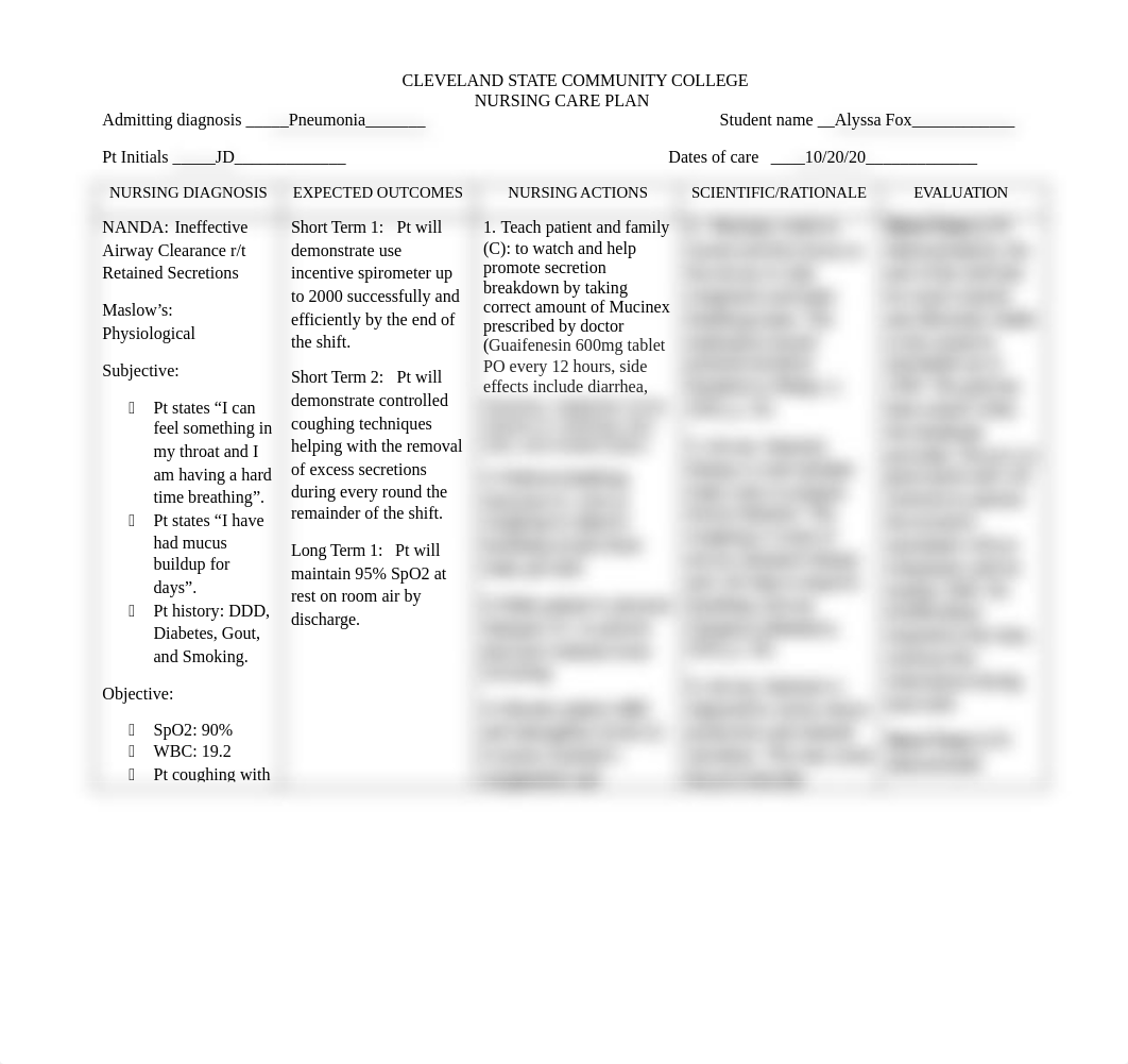 Care Plan Nursing.docx_ds8q5q7owue_page1