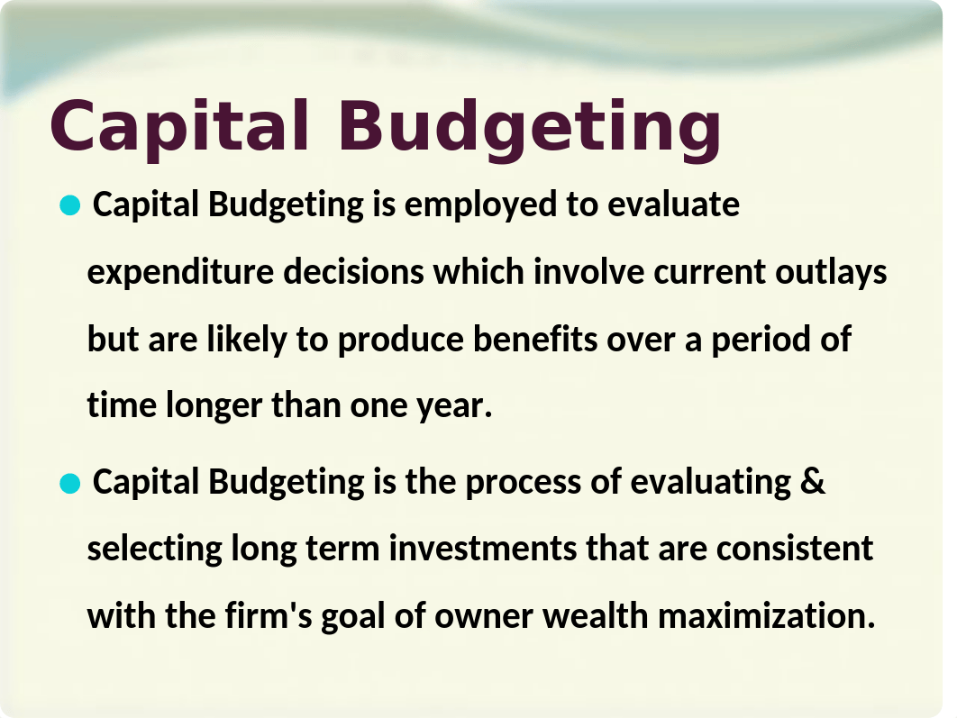 Capital Budgeting_ds8qqnv7ryo_page2