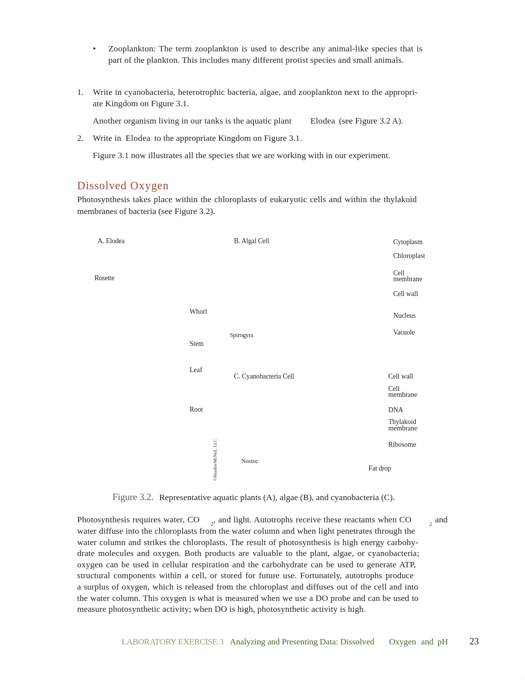 Lab 3 pdf copy.pdf_ds91ksoqq25_page3