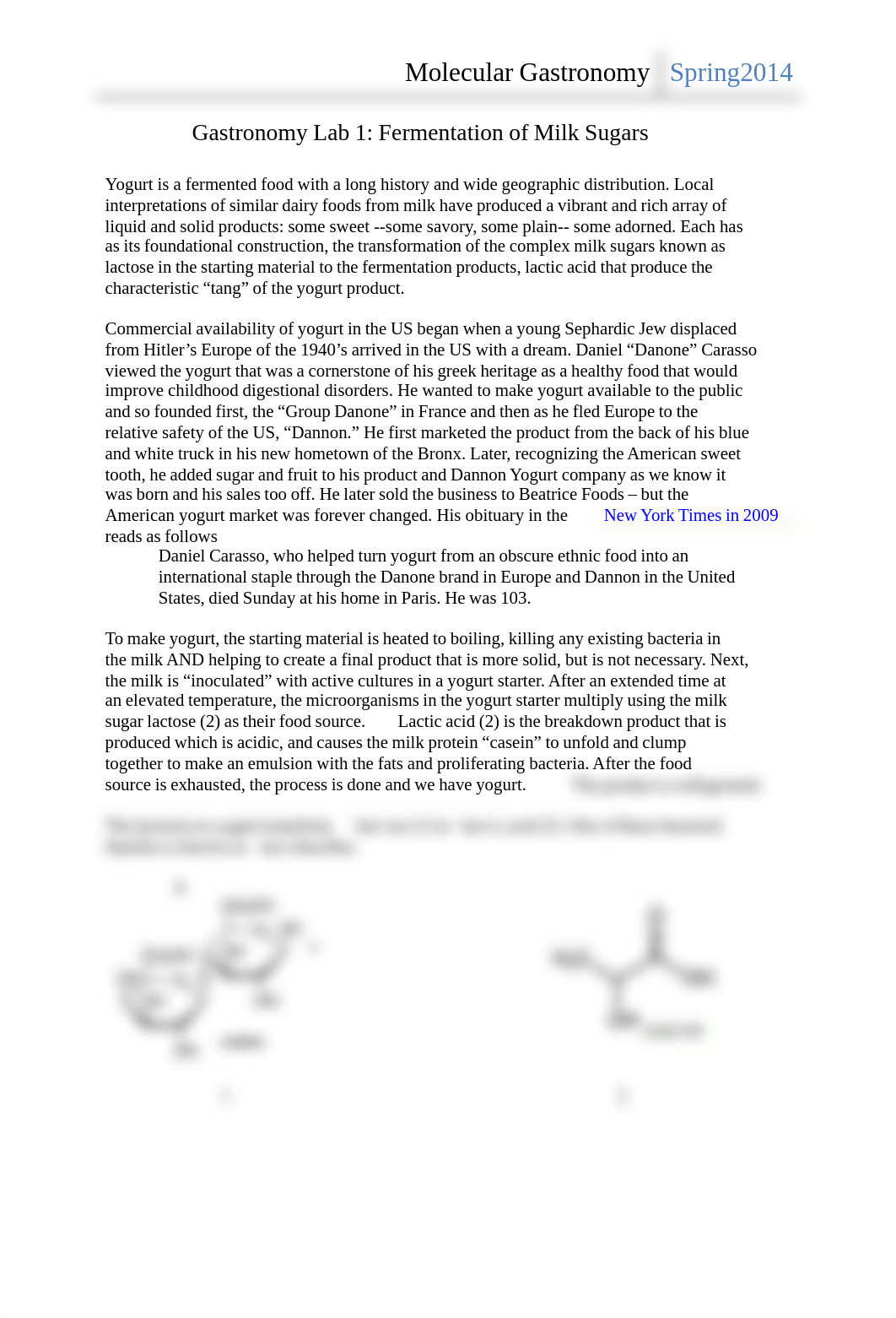 CHEM100 Lab 1_ds92936fq97_page1