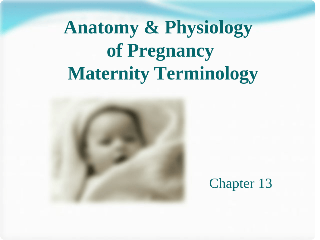 Chapter 13 A & P of Pregnancy_ Maternity_Terminology.ppt_ds94h5o1l4x_page1