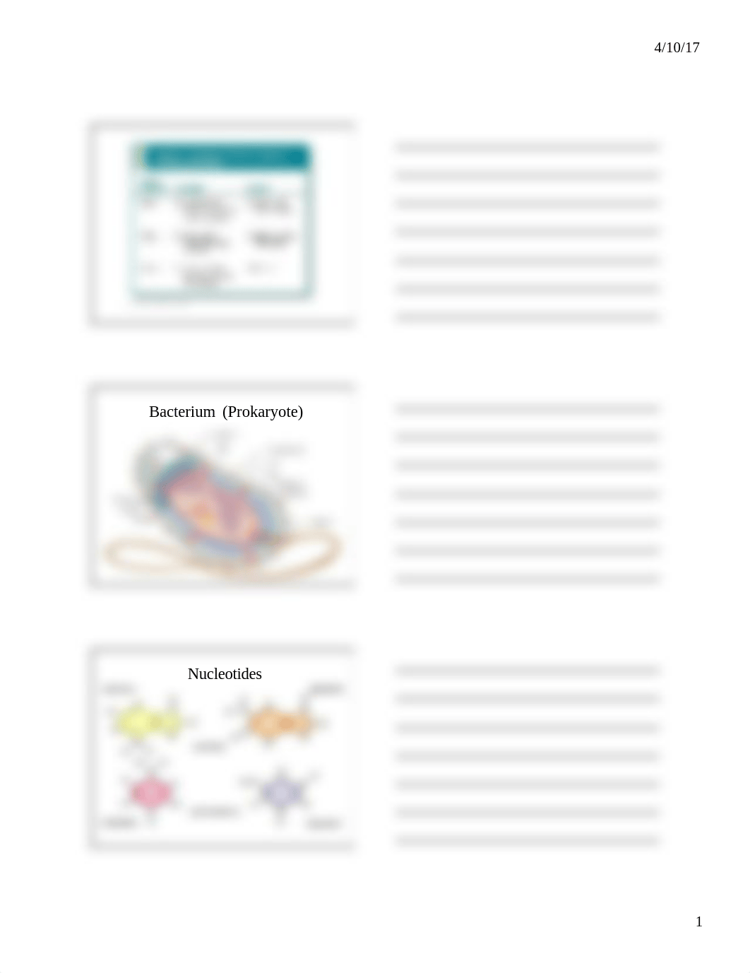 Pharm - Antibiotics_ds9aymjdeao_page1