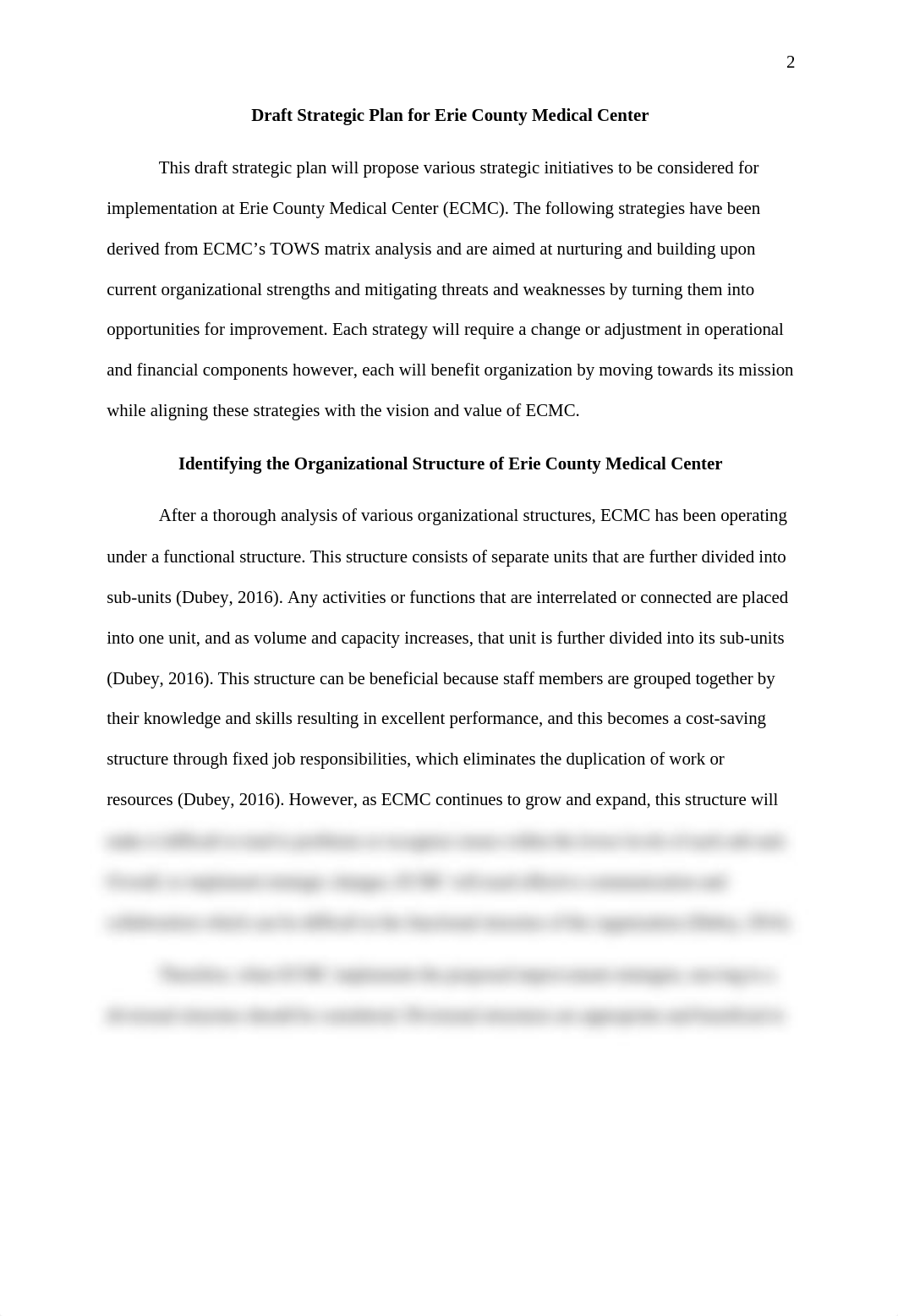 MHA-FP5010_Kirsten Furness_Assessment 2-1 (Draft Strategic Plan).docx_ds9kac3ys5n_page2