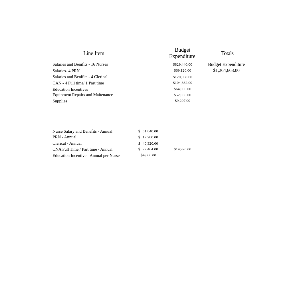 Nursing Budget.xlsx_ds9qcyl81wy_page1