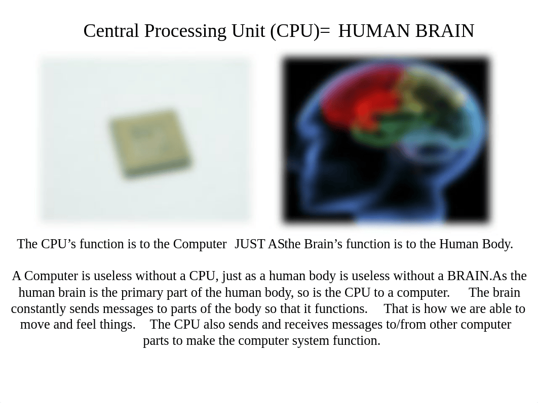 1.4 Assignment Computer Part Analogies.pptx_ds9tspirws8_page2