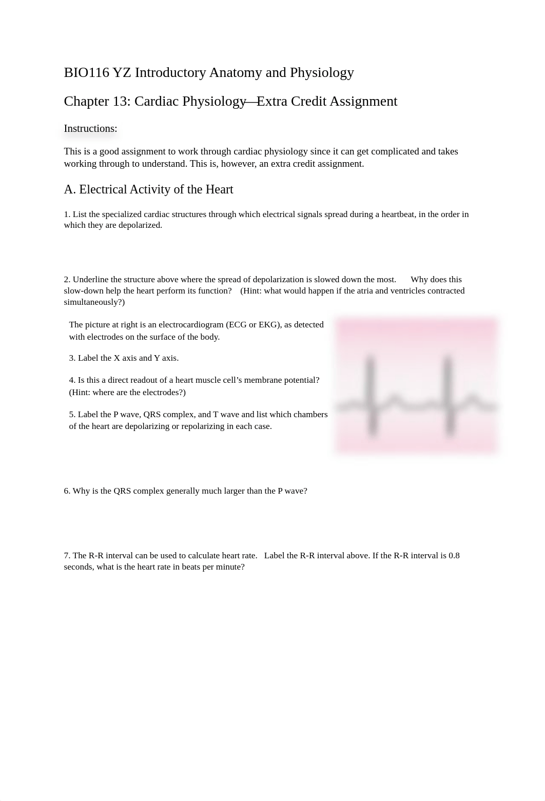 BIO116 Chapter 13 Cardiovascular Physiology Extra Credit Assignment.pdf_ds9v00mnfkt_page1