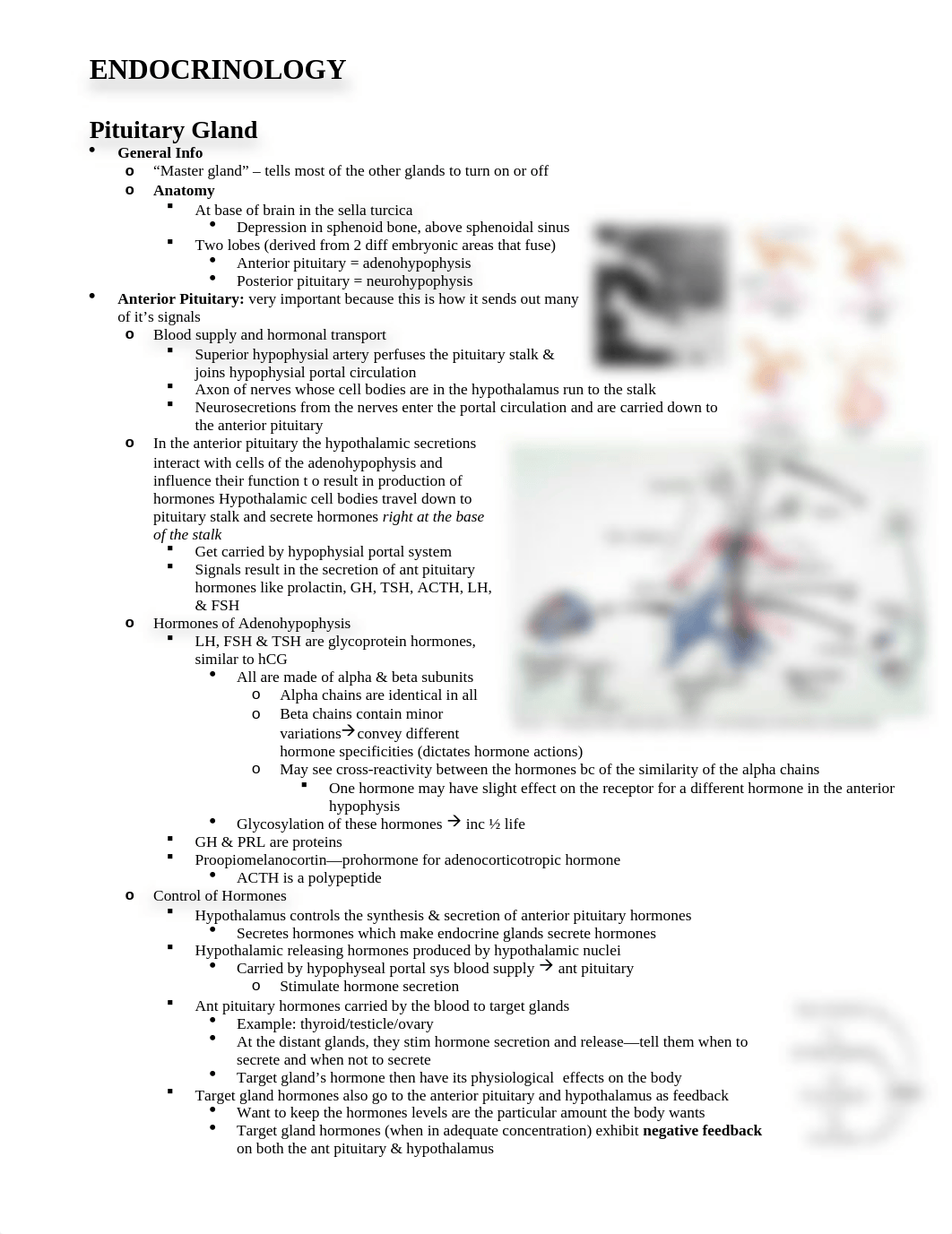 ENOCRINE.docx_dsa3gw5ptw8_page1