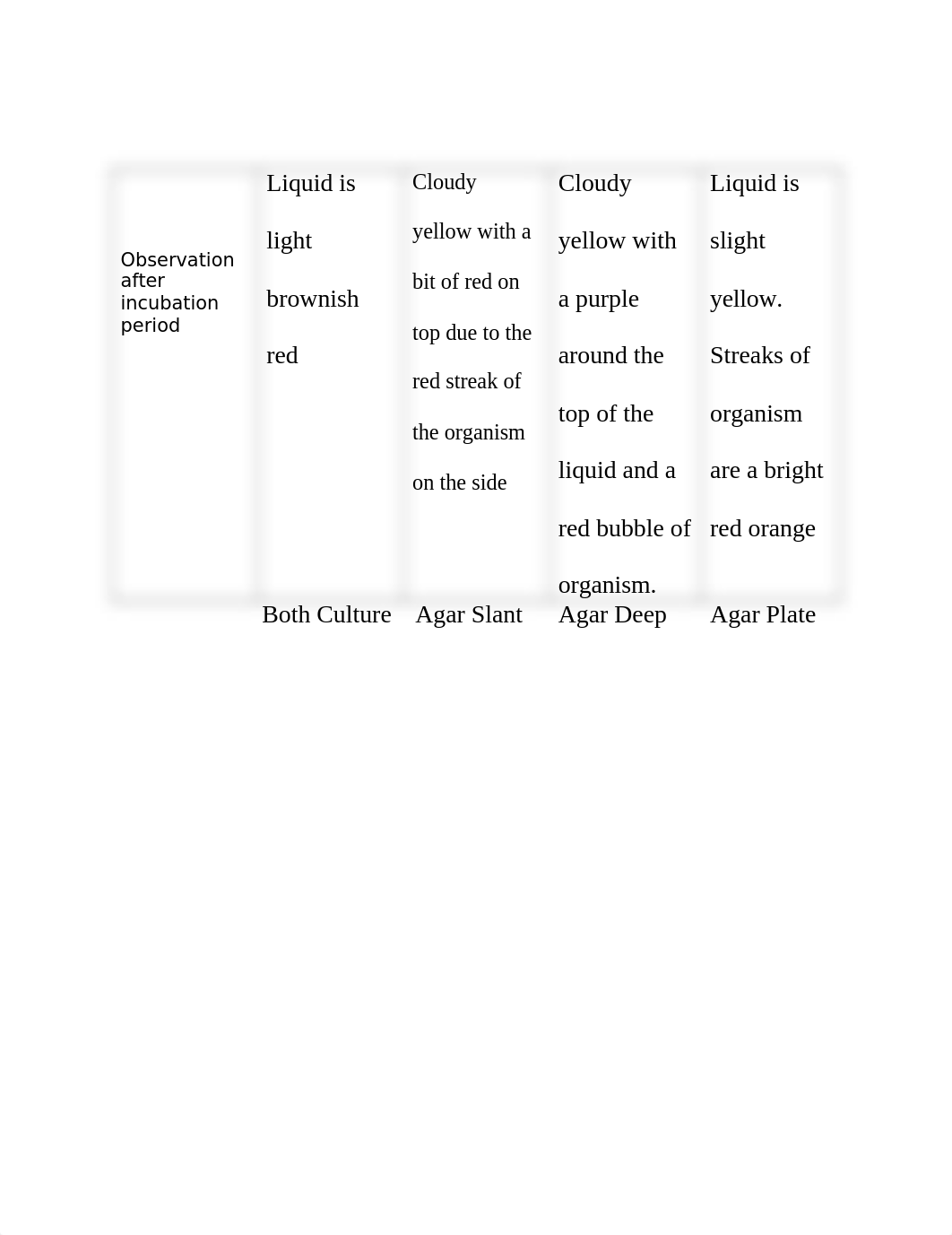 LABB ASSIGNMENT 1  .docx_dsa46w3buqn_page1