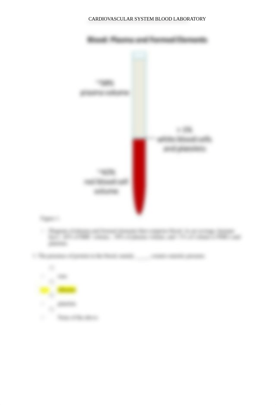 Lab#2 Cardiovascular System Blood.docx_dsacaiv9lhj_page2