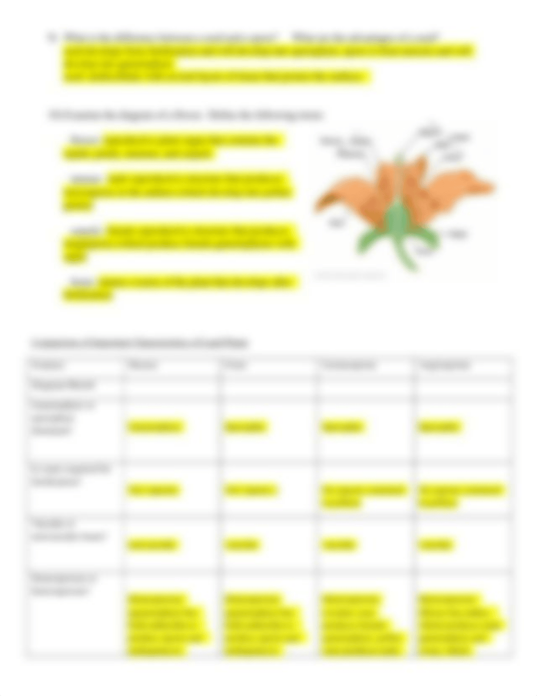 plant_biodiversity_workshop_preparation_-_key_dsajfxtx5uu_page3