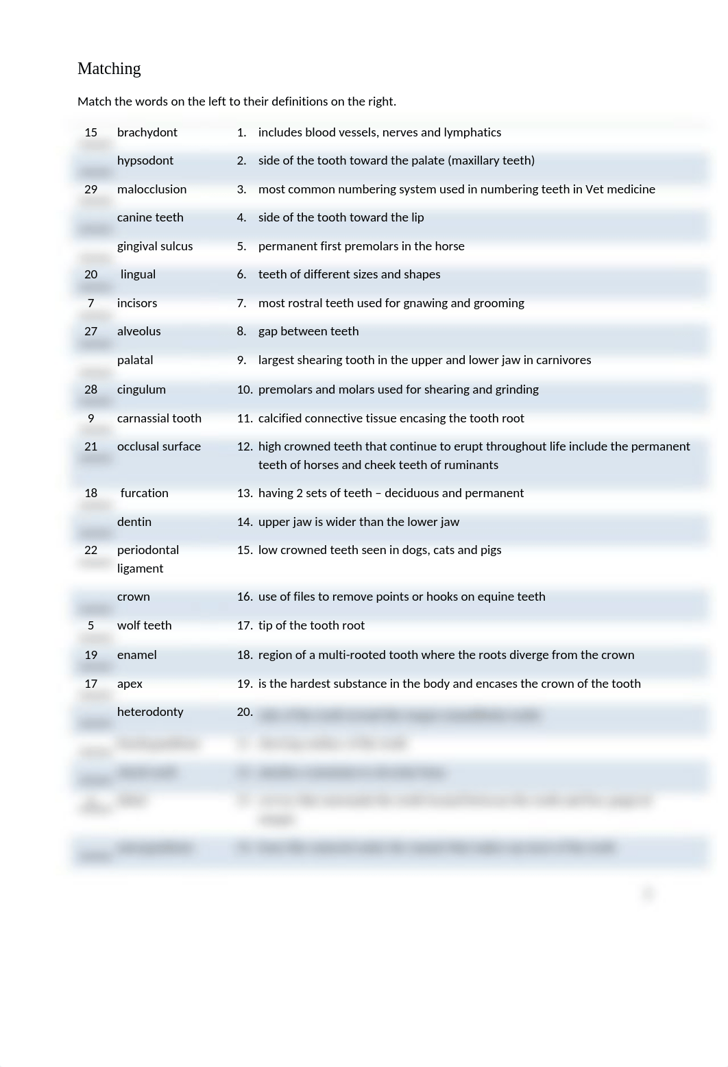 Assignment 5.1 All About Teeth.docx_dsaypclievd_page3