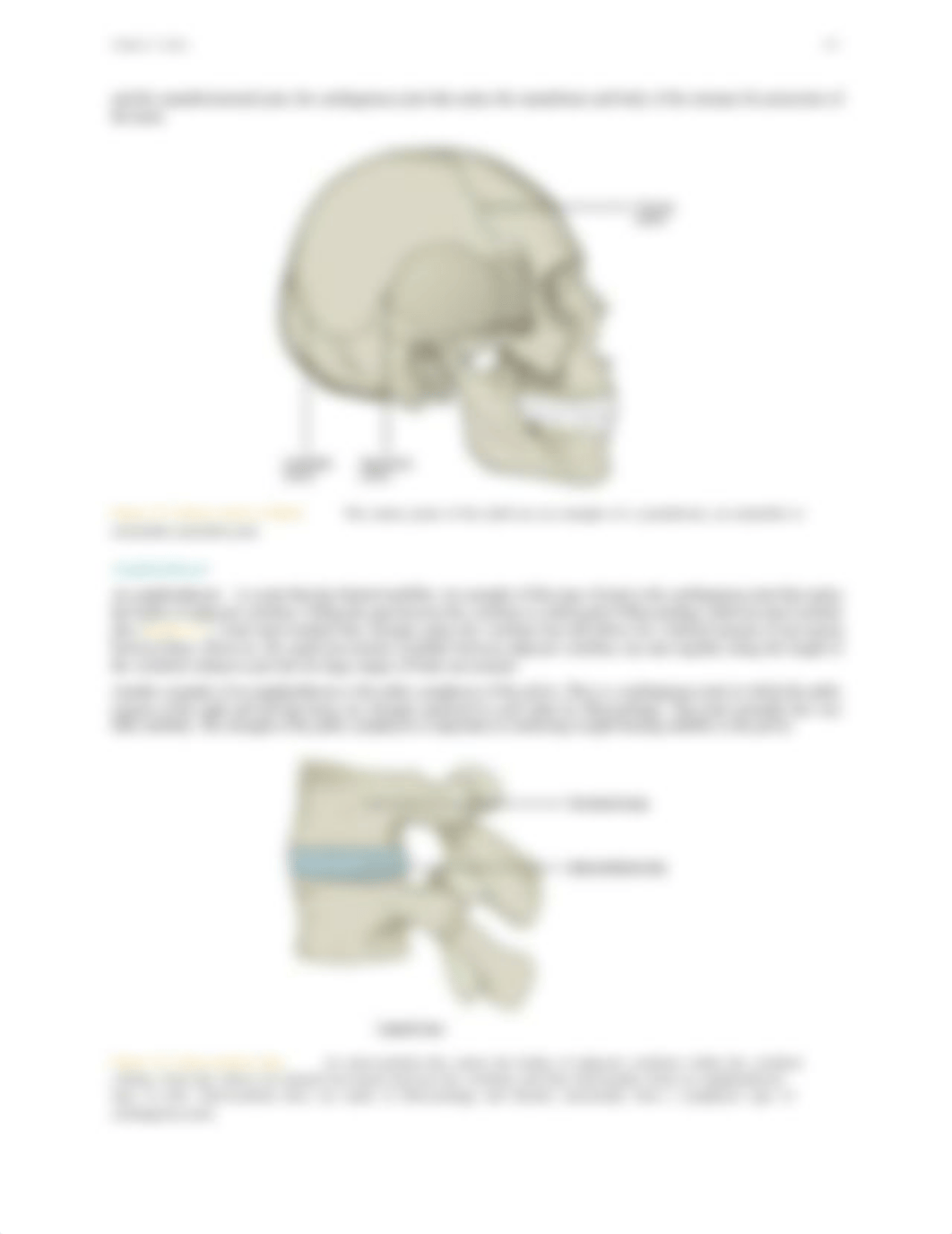 AnatomyandPhysiology - JOINTS.pdf_dsaz05hnp15_page3