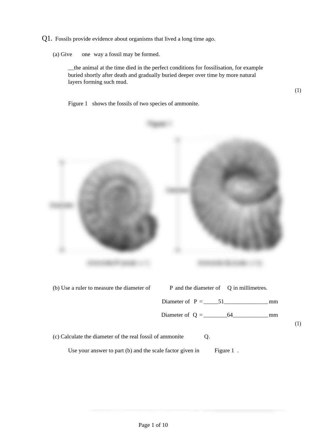 Natural selection & Extinction questions.rtf_dsb5lecq8z4_page1