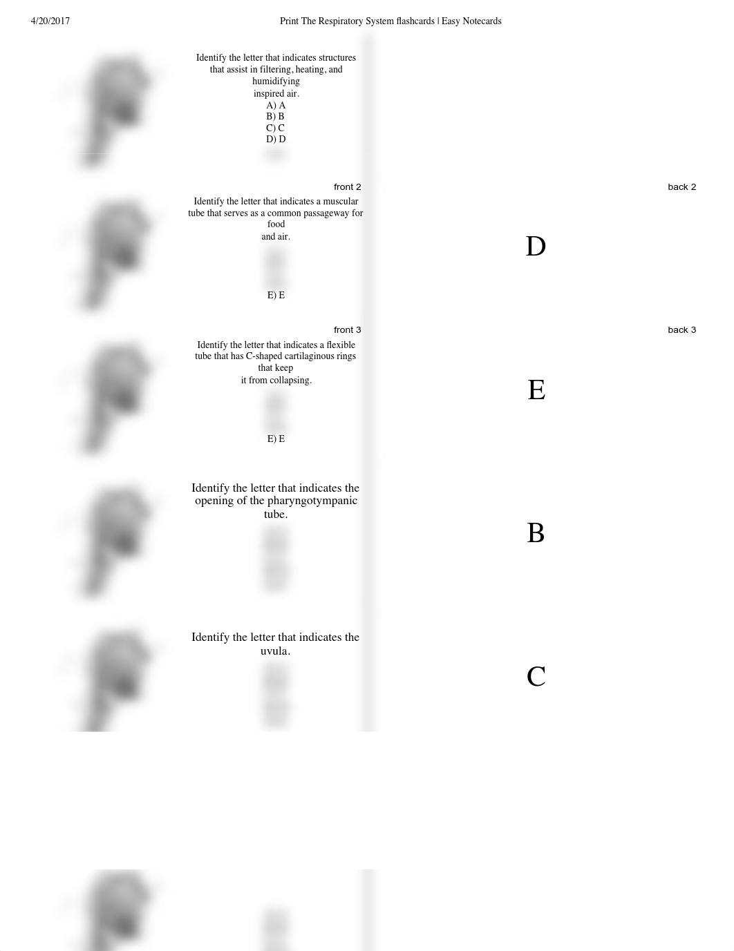 Respiratory Note Cards.pdf_dsb5me651yv_page1