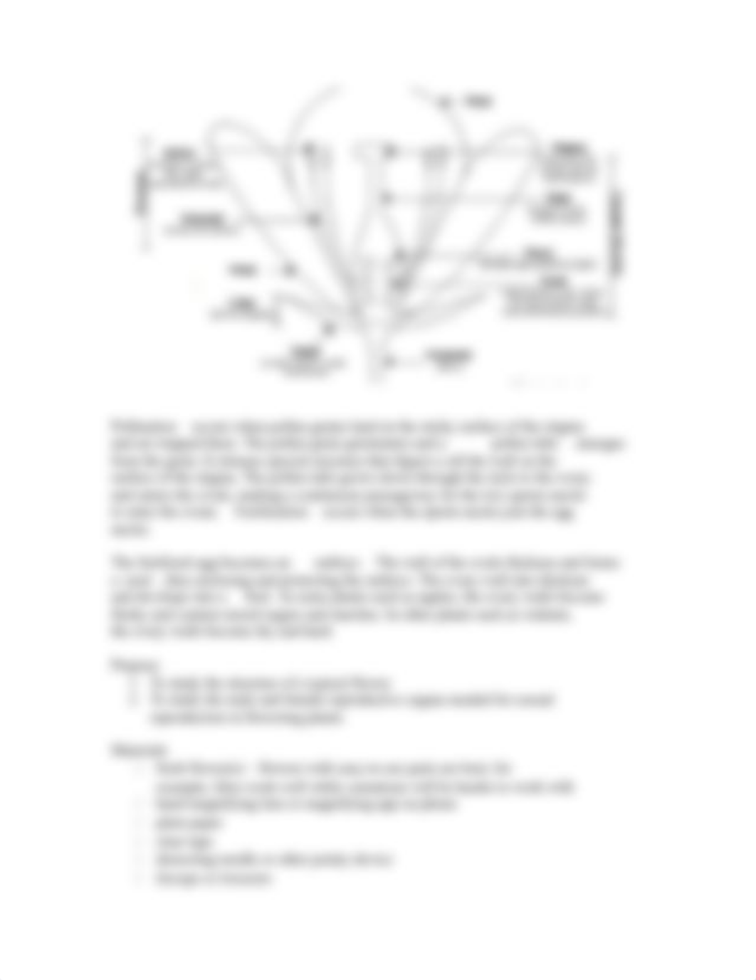 Week 12 Plant Structure Lab(1)_dsbar3lh87b_page2