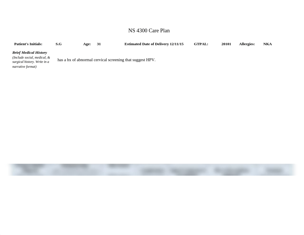 NS 4300 OB Care Plan.docx_dsbbc04z180_page1
