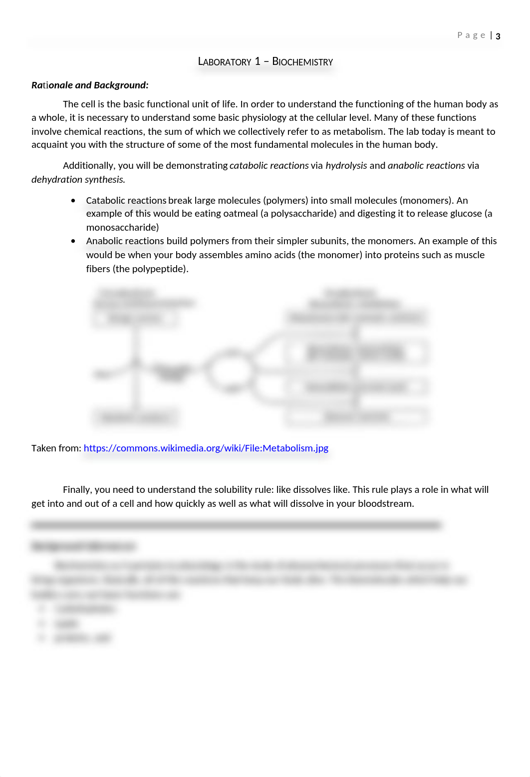 Lab 1 -  Biochemistry.docx_dsbbovuarni_page1