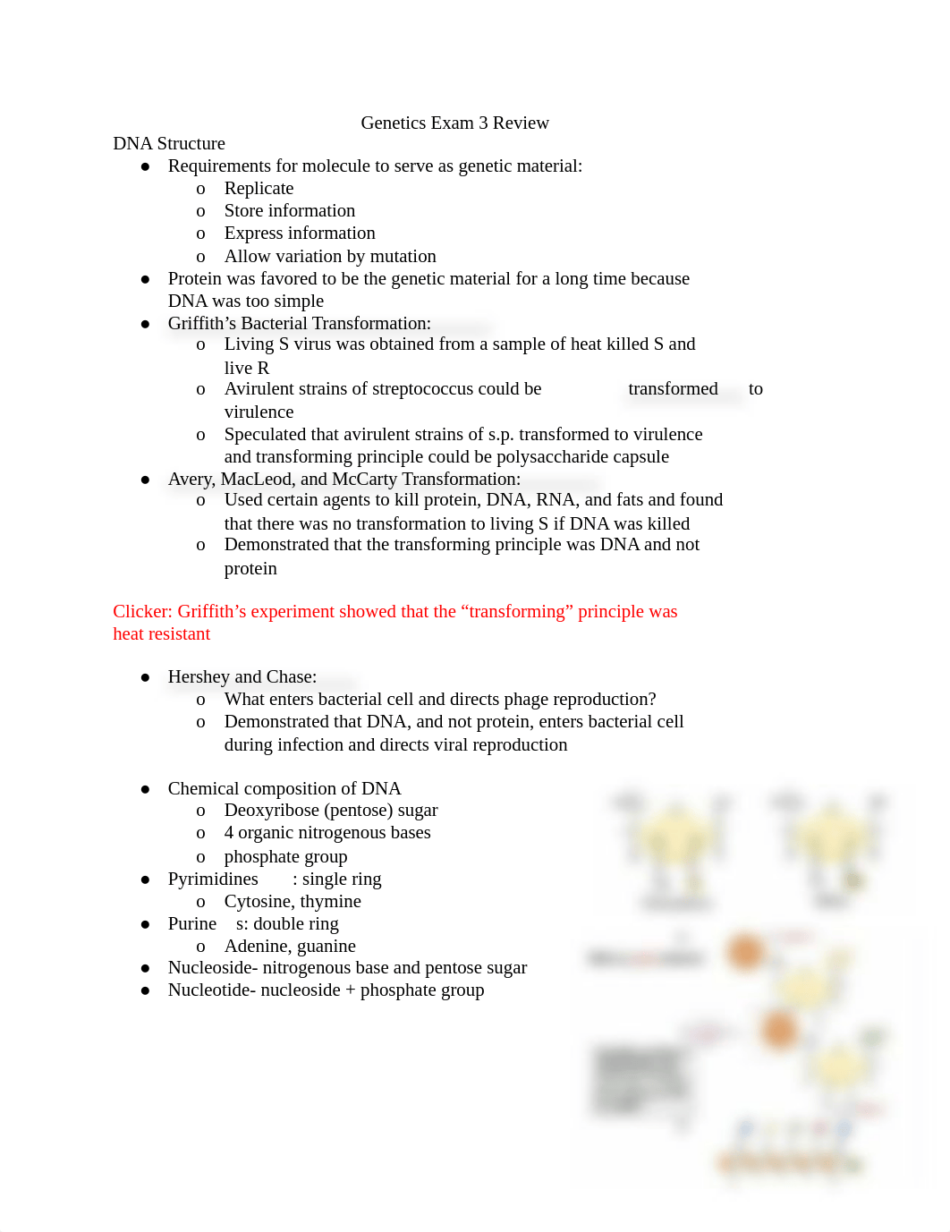 Genetics Exam 3 Review.docx_dsbi0wj7uqu_page1