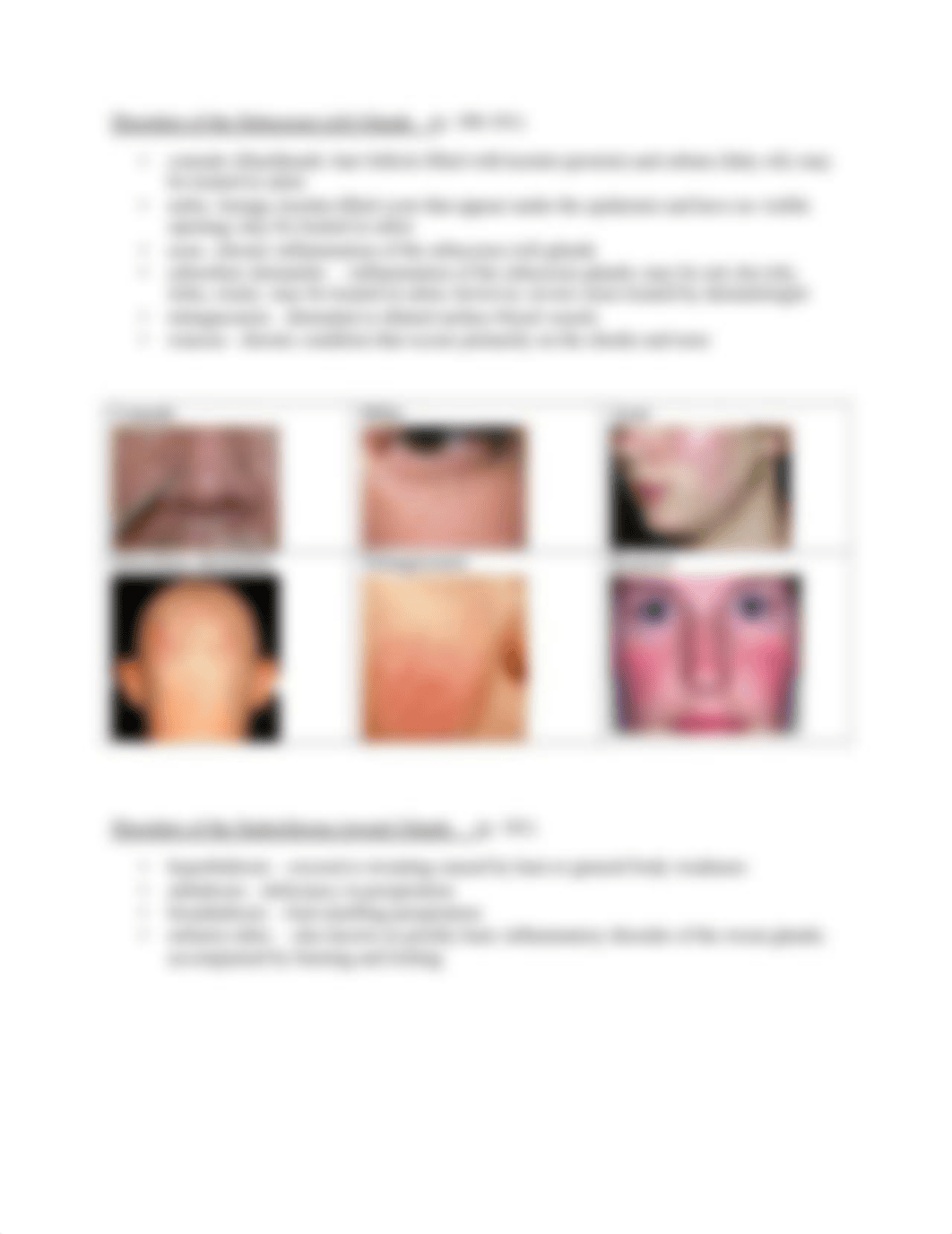 Skin_Disorders.pdf_dsbx1m17s0x_page3