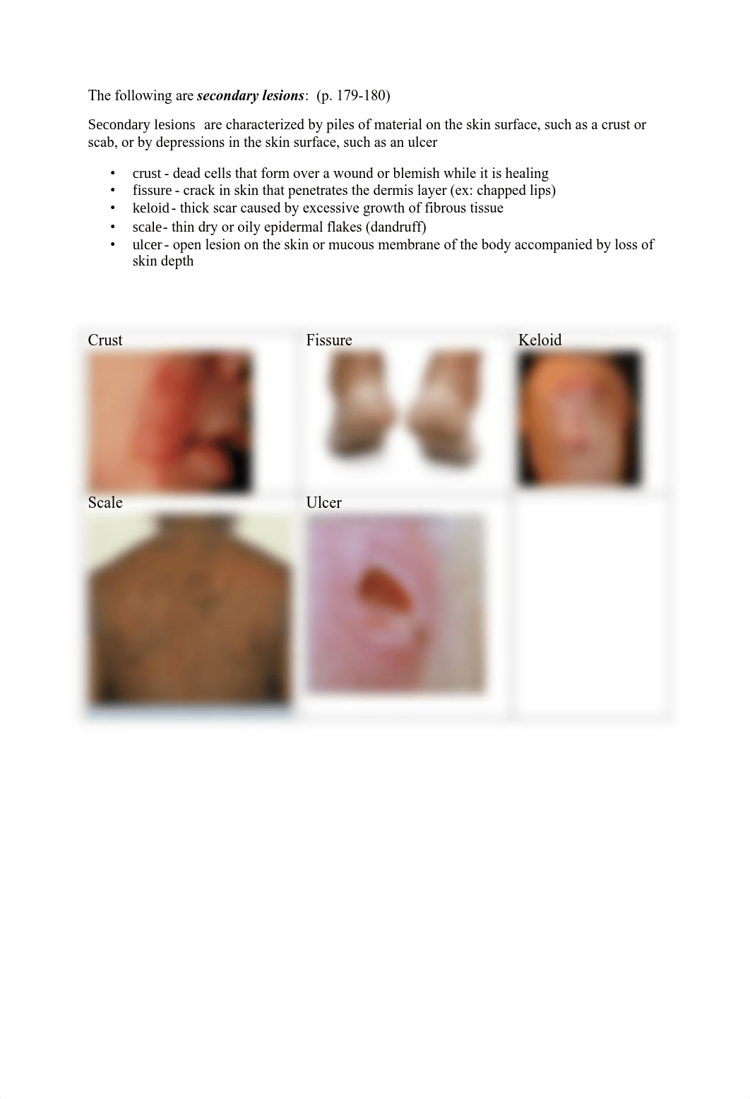 Skin_Disorders.pdf_dsbx1m17s0x_page2