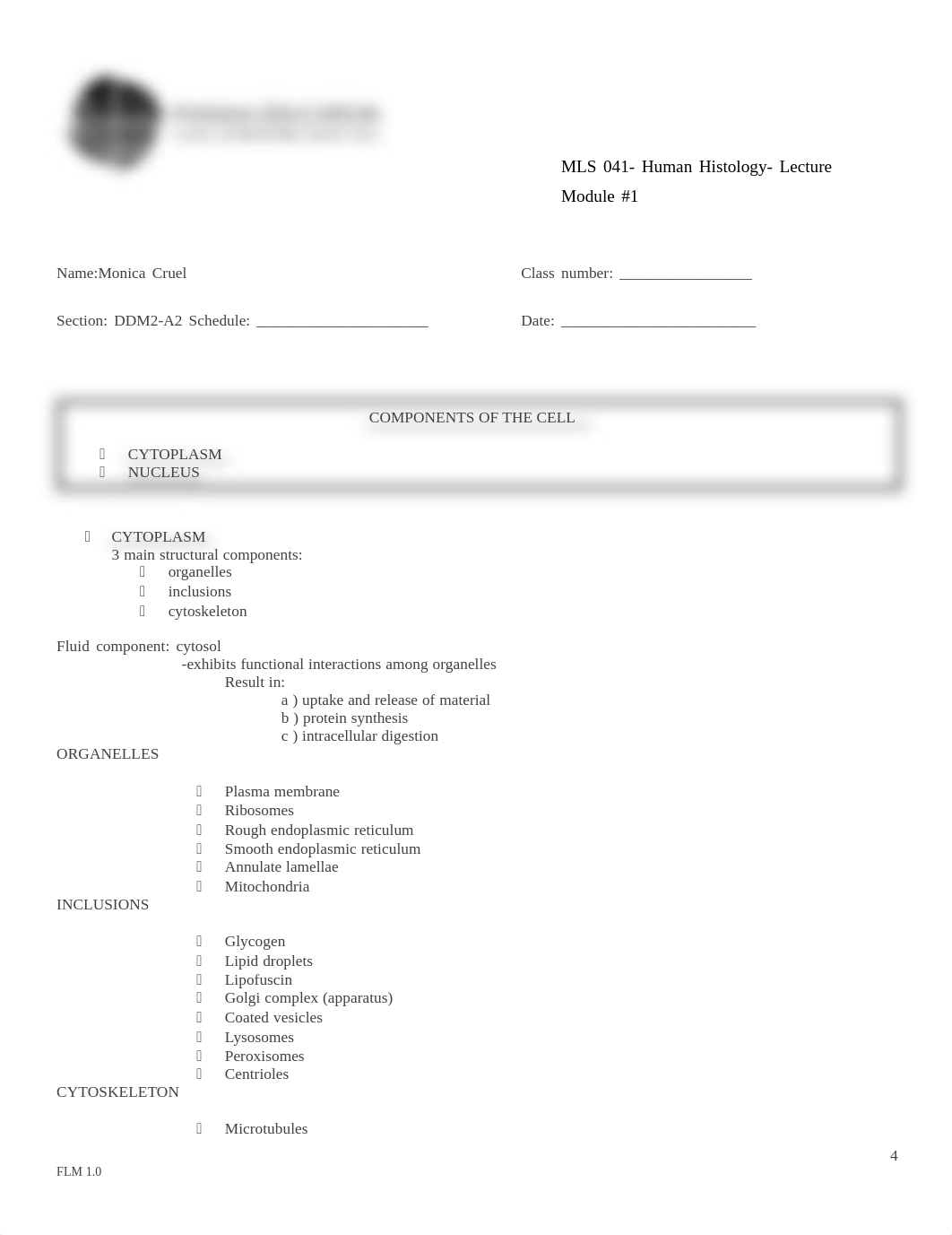 CRUEL_MONICA_DDM-2_A2_MODULE1.pdf_dsbxdbwjq2v_page4