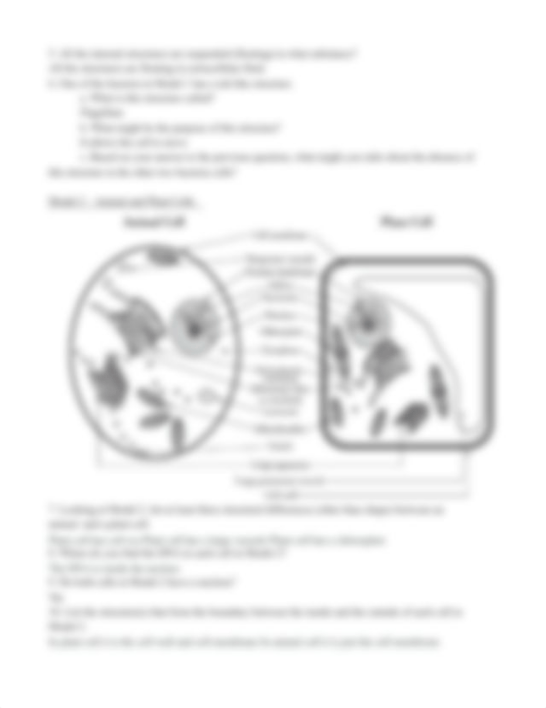 Copy of Prokaryotes + Eukaryotes MODELS_dsc0gexa9yu_page3