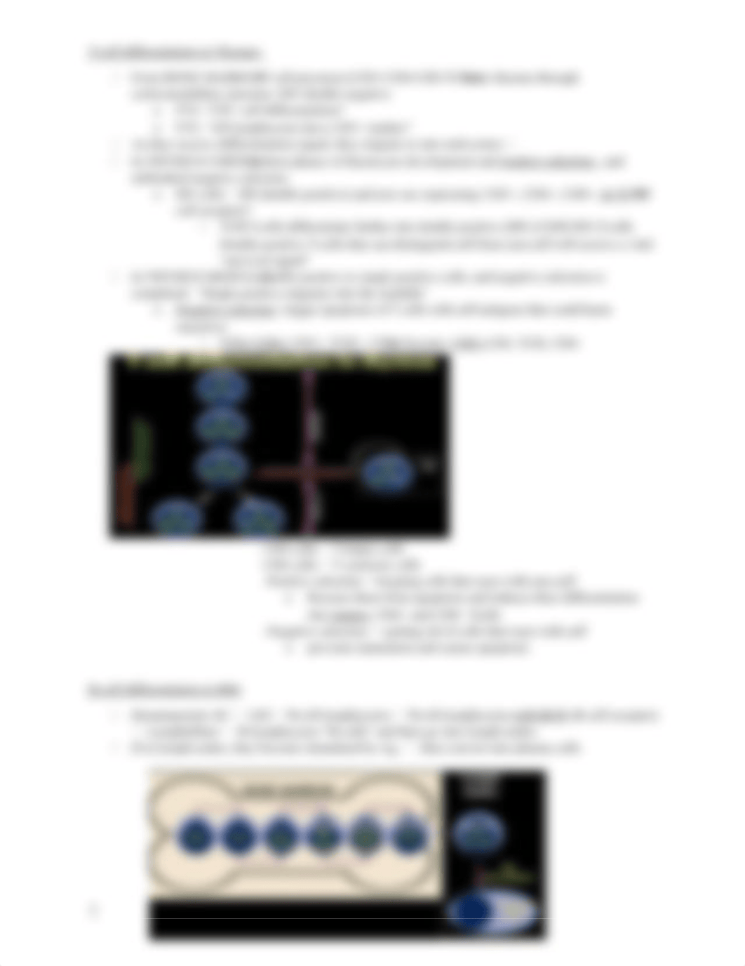 Immune System Physiology Week 11-12.docx_dsc3dbui72m_page3