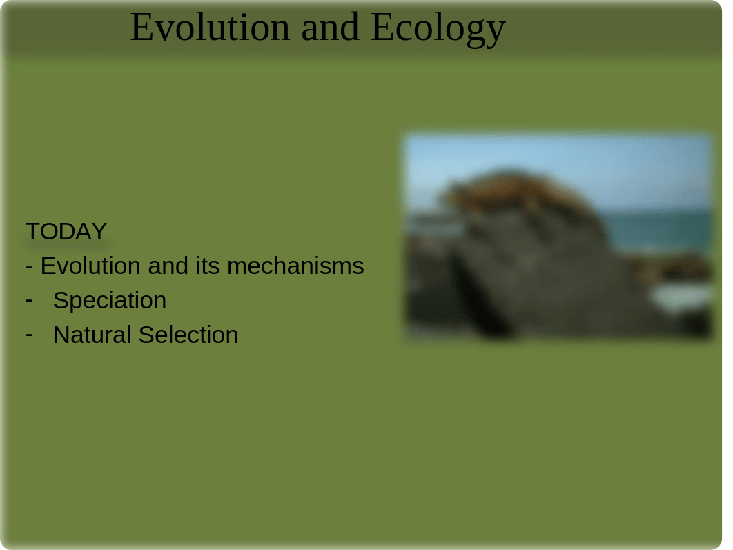 BES_312_Evolution and ecology_Lect2_p (1).pptx_dsc8wmnyeji_page1