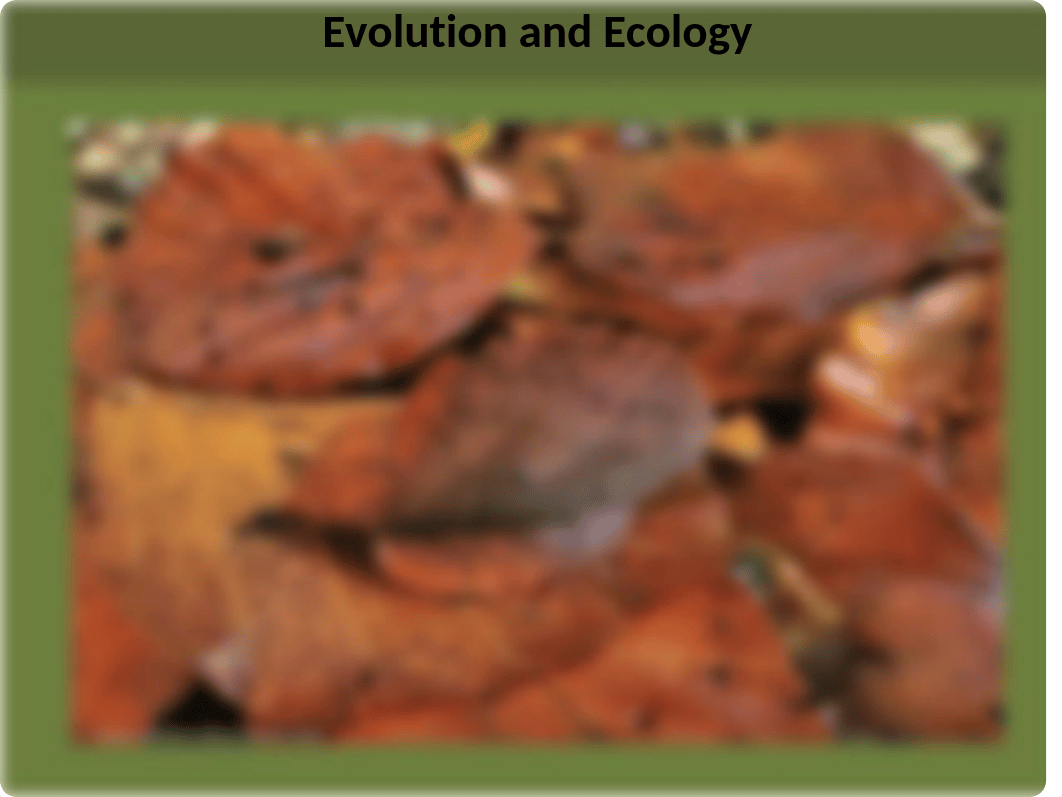 BES_312_Evolution and ecology_Lect2_p (1).pptx_dsc8wmnyeji_page4