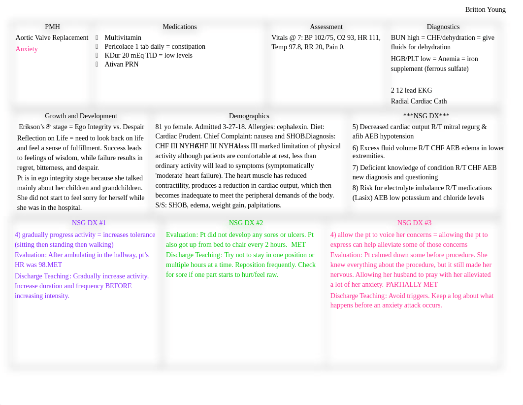 Final Care Map 146.docx_dscbxlvpujp_page2