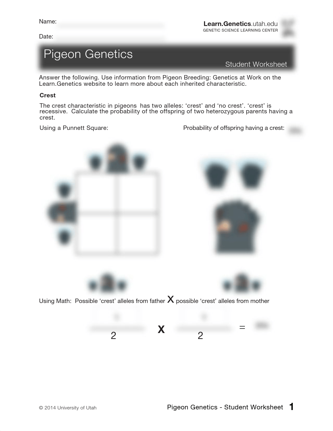 Pigeon-Genetics-Worksheet_interactive.pdf_dsccf2svjvo_page1