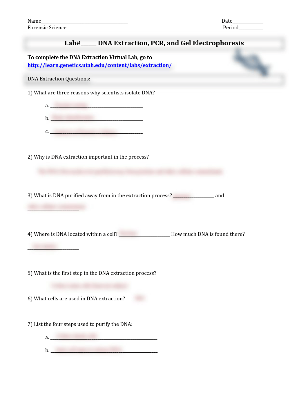 Aquavion Sanders - DNA Extraction , PCR, and Gel Electrophoresis Virtual Lab.docx.pdf_dscltxd2qnk_page1