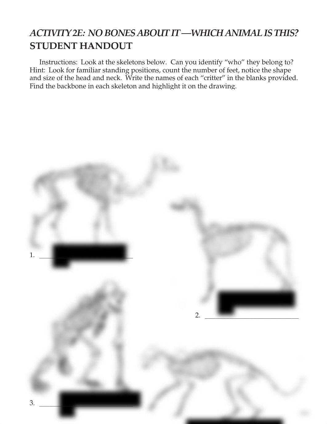 Jamall_Mahoney_-_Which_Animal_Is_This_Student_Handout_2E_(1).pdf_dscqkolj27x_page1