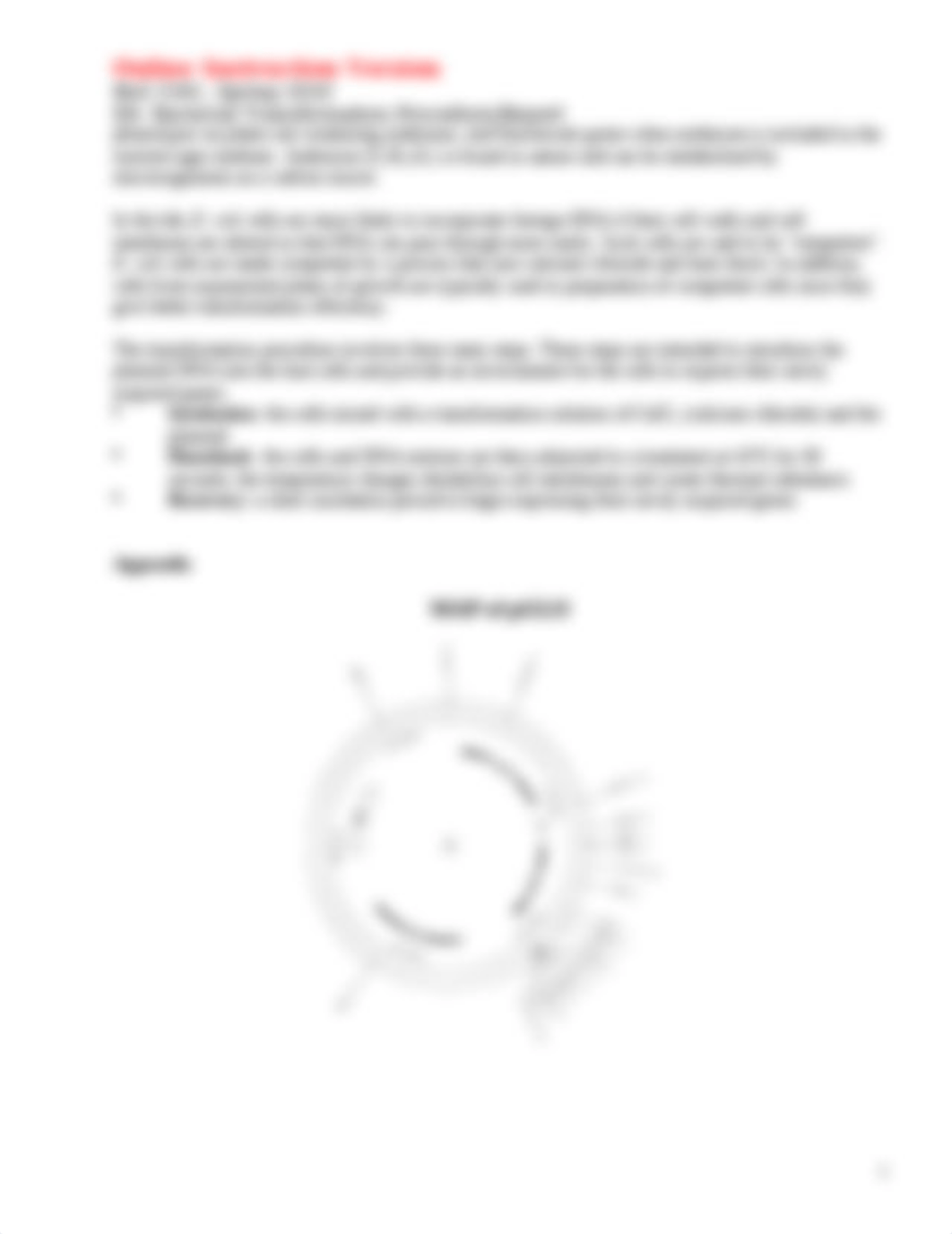 E8_bacterial_Transformation_procedure_Spring 2020 Updated for Online Instruction.doc_dscwkx94zup_page2