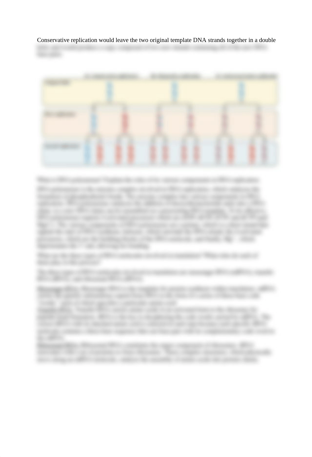 Workshop 4 Final Answers: Molecular Biology and Central Dogma.docx_dscxzbtqvp0_page2