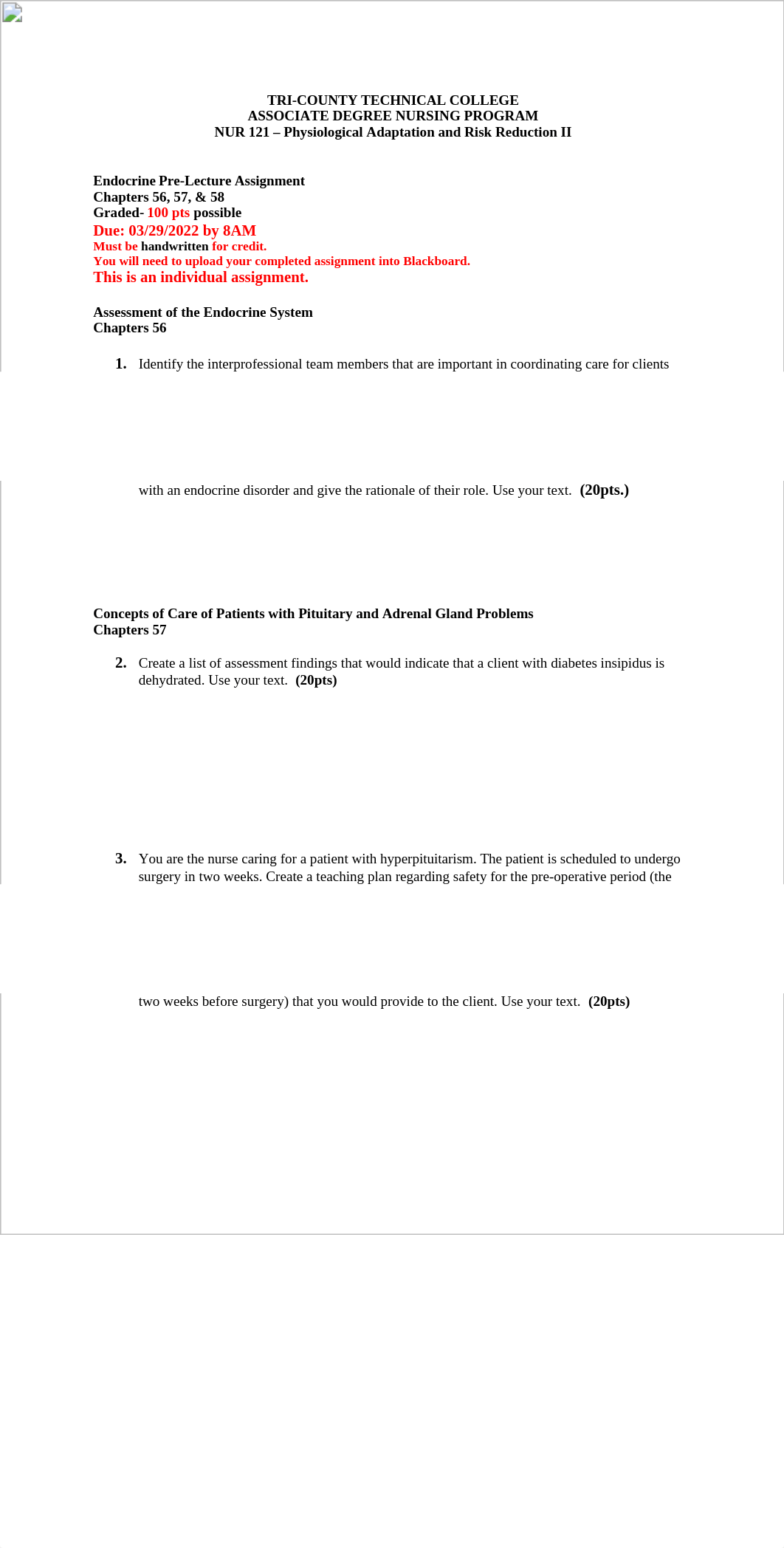 NUR 121 Endocrine Assignment Spring 2022 (1).docx_dsd1i26thhj_page1