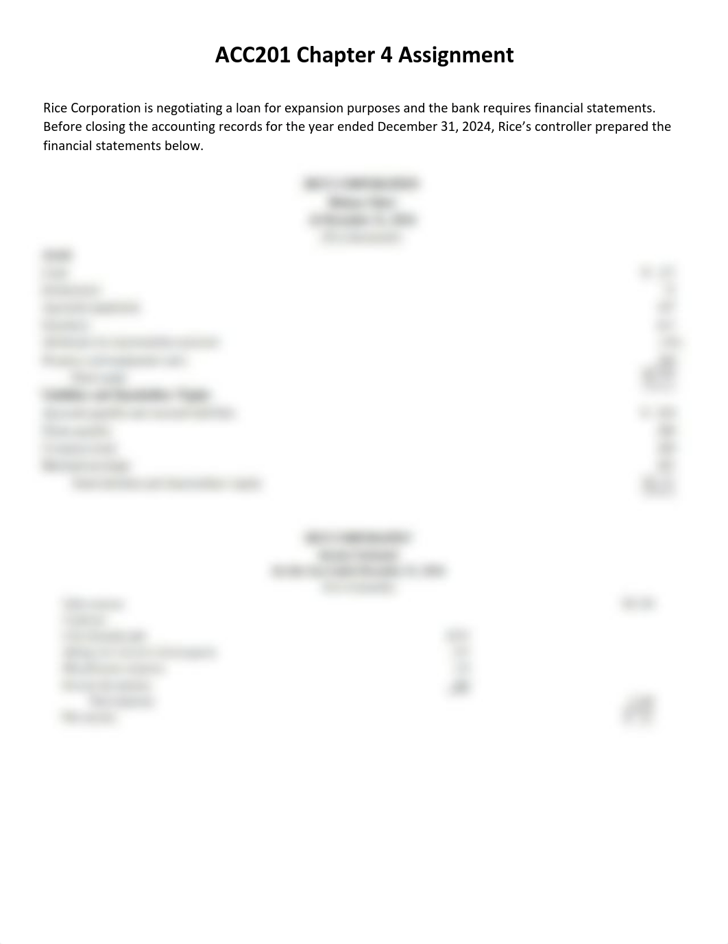 ACC201 Chapter 4 Case and rubric.pdf_dsd4jlm93si_page1