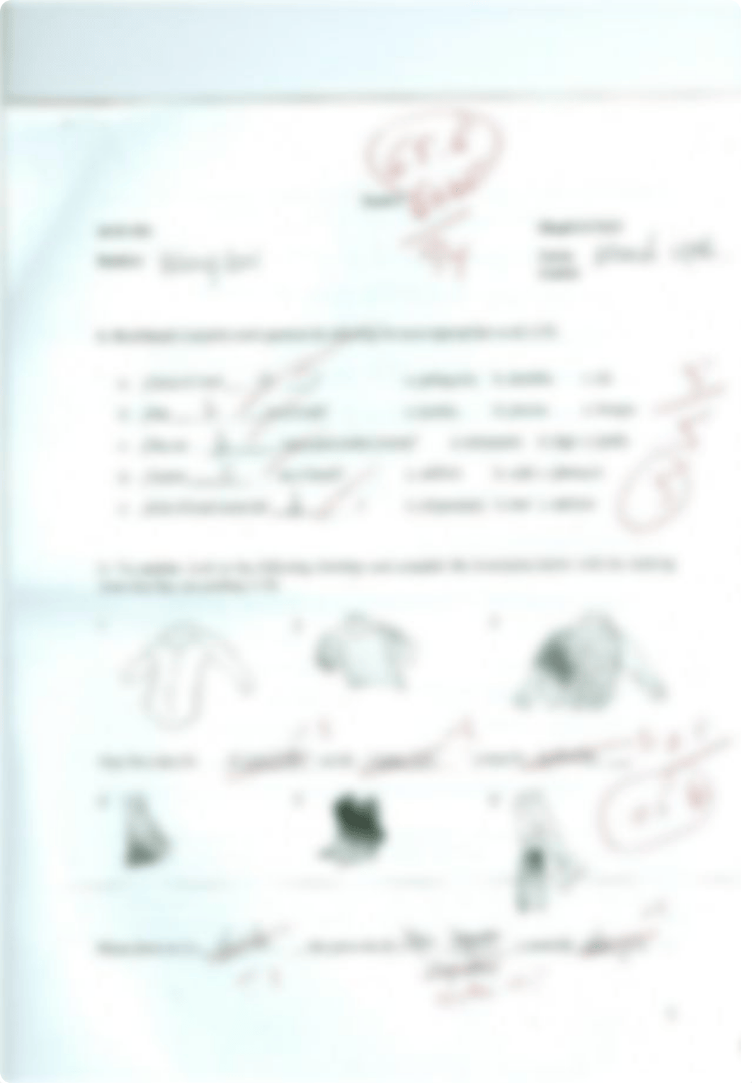 Beginning Spanish Exam 2_dsdczgp5d53_page1