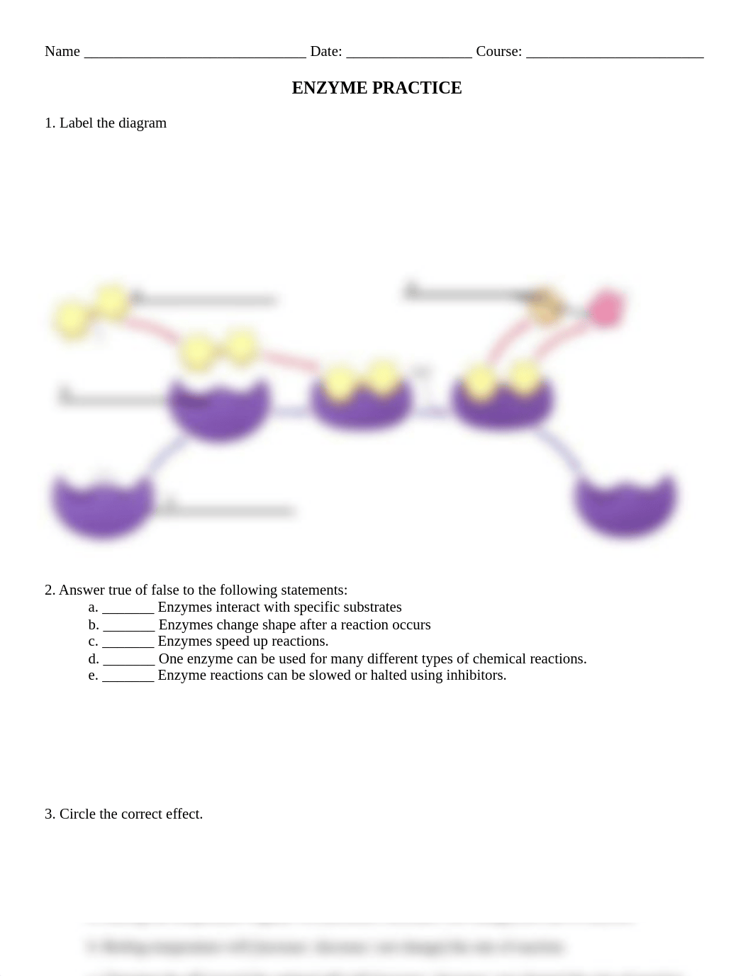 Enzyme_Worksheet_Practice.pdf_dsde7q3amca_page1